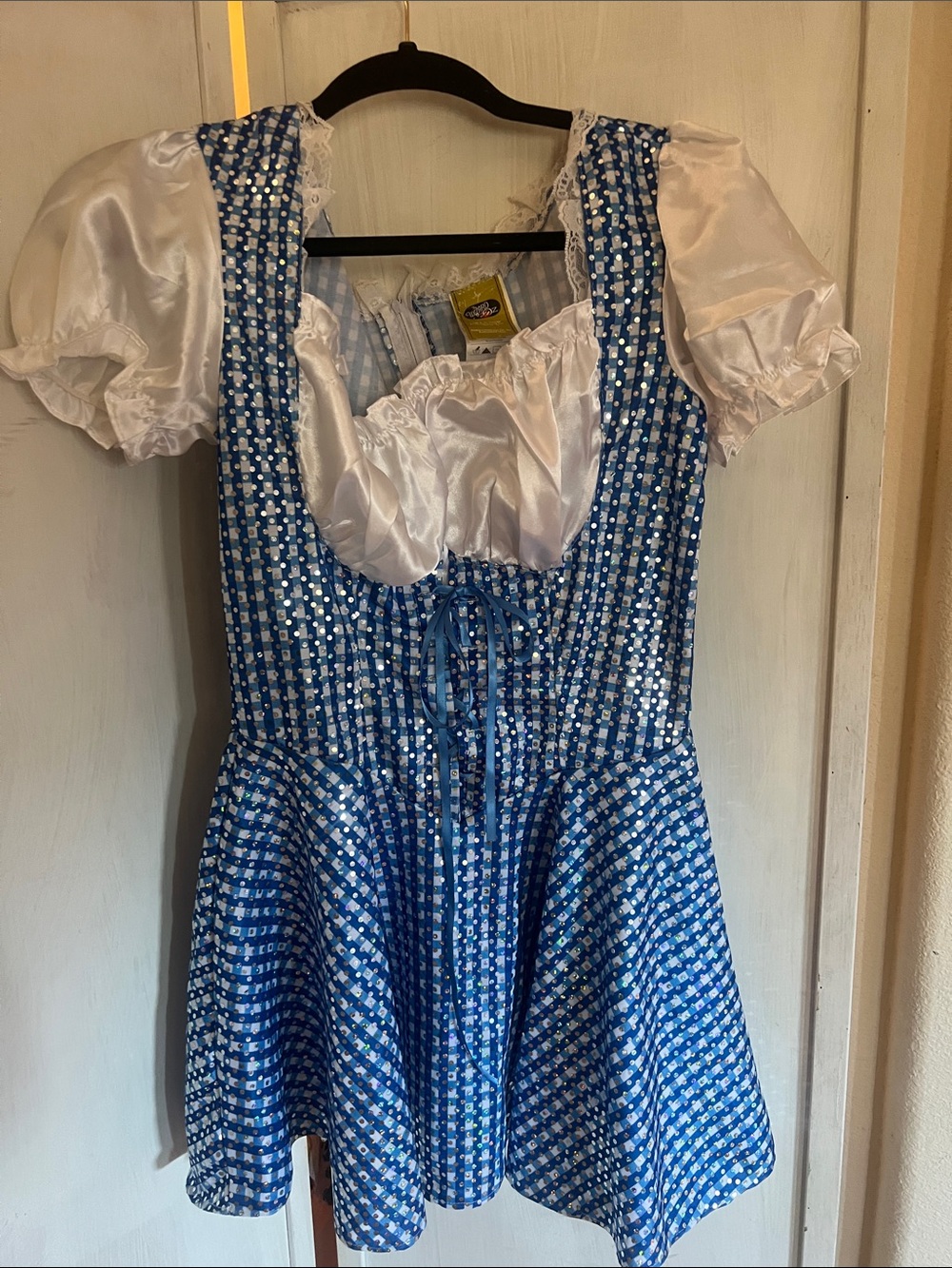 🎃🧺👠Wizard of Oz Dorothy costume size M